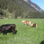 Haeusling Alm Fogadó Mayrhofen