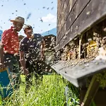 Fogadó Haeusling Alm Mayrhofen