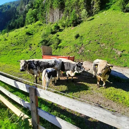 Zajazd Haeusling Alm Mayrhofen