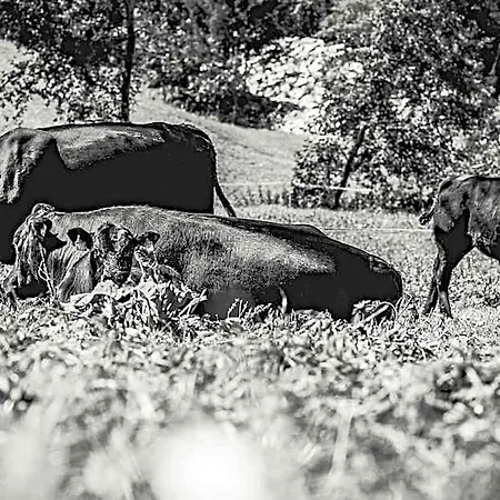Hausling Alm Värdshus