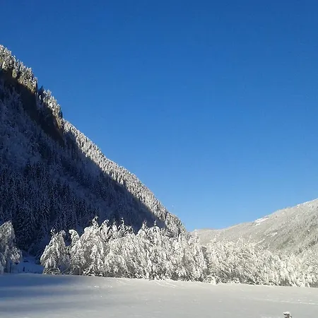 Hausling Alm *