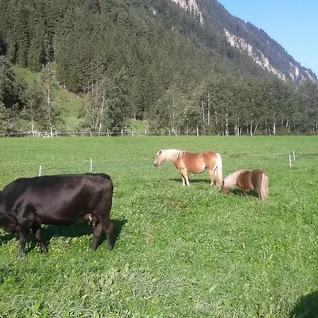 Haeusling Alm Herberg Mayrhofen