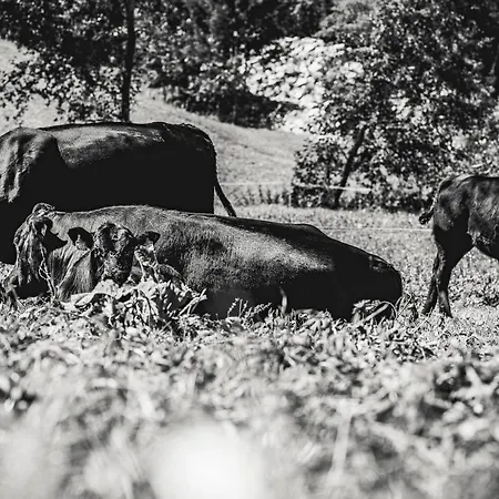 Zajazd Haeusling Alm