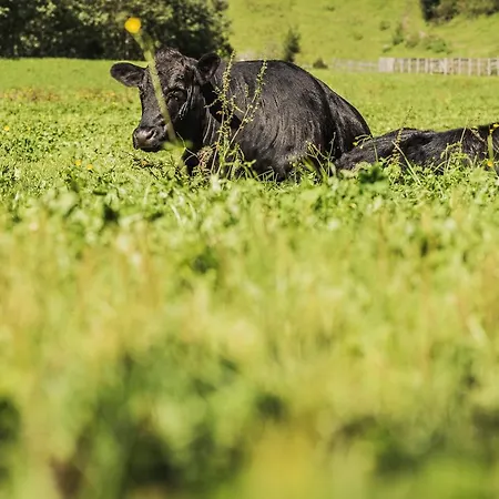 Hausling Alm Mayrhofen