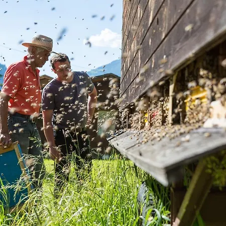 Inn Hausling Alm Mayrhofen