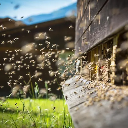 Haeusling Alm Zajazd Mayrhofen