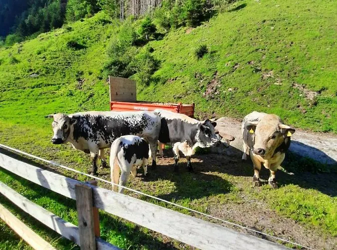 Мініготель Haeusling Alm Майргофен