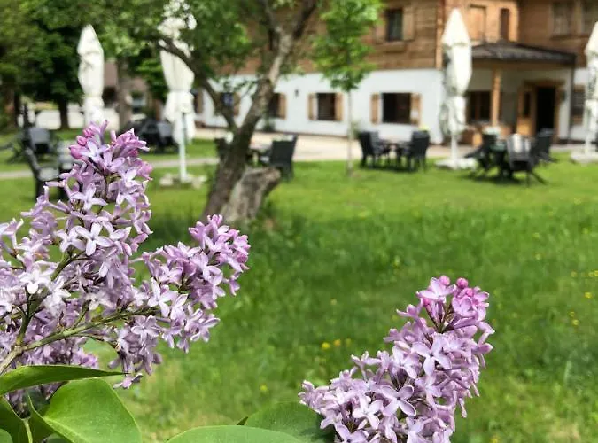 Haeusling Alm Мініготель *