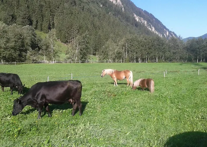 Haeusling Alm Inn Mayrhofen