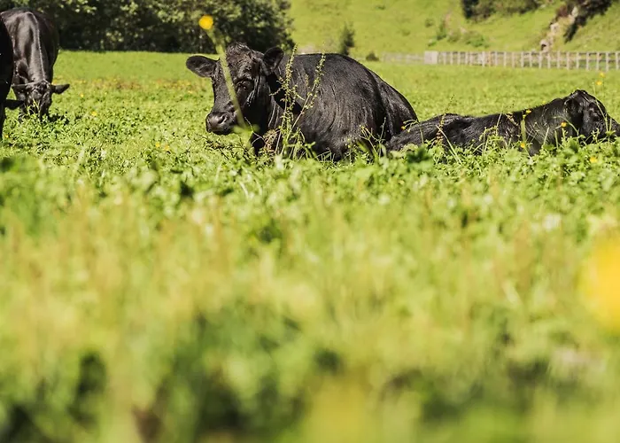 Haeusling Alm Mayrhofen