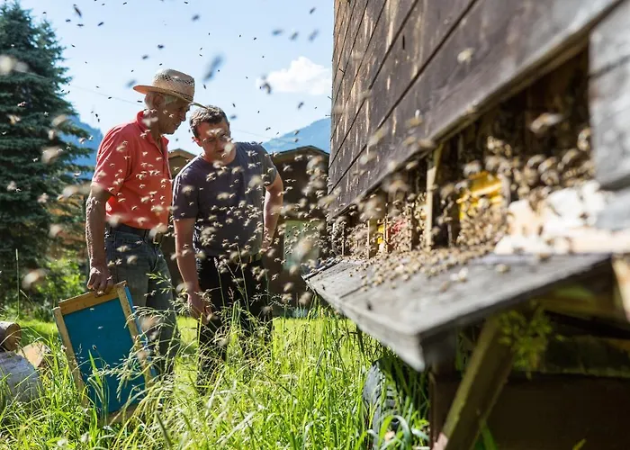 Мініготель Haeusling Alm Майргофен