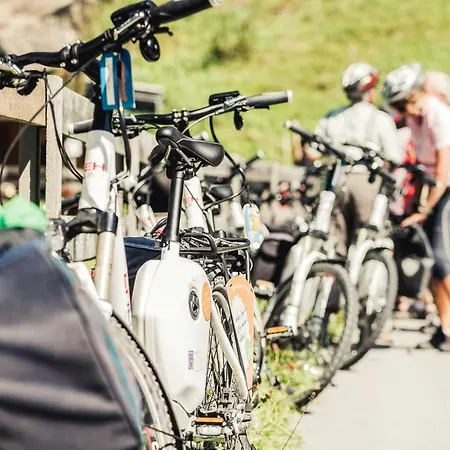 Haeusling Alm אורחן *